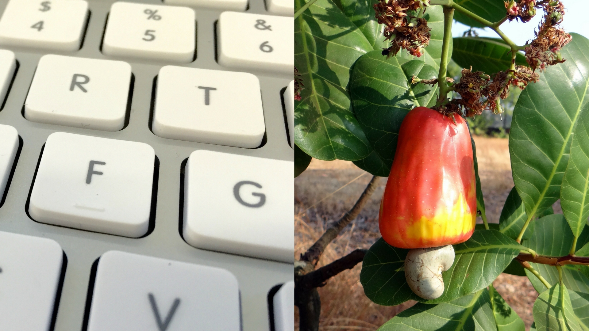 Scientists develop the first sustainable molecular keypad lock, designed using bioresources
